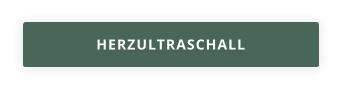 HERZULTRASCHALL